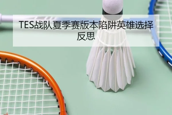 TES战队夏季赛版本陷阱英雄选择反思