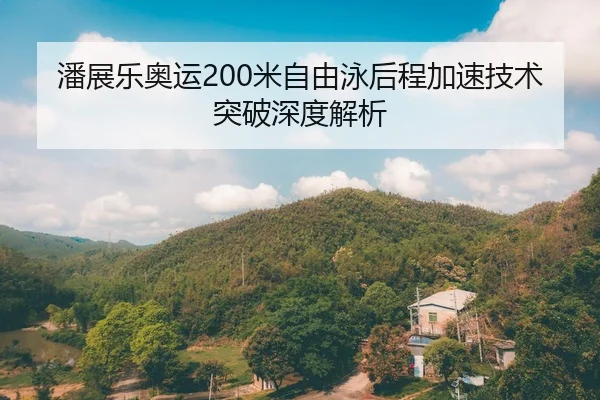 潘展乐奥运200米自由泳后程加速技术突破深度解析