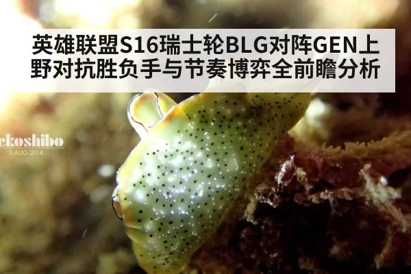 英雄联盟S16瑞士轮BLG对阵GEN上野对抗胜负手与节奏博弈全前瞻分析